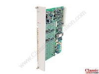Analog Output Module (505-6202)