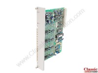 Analog Output Module (505-6204)