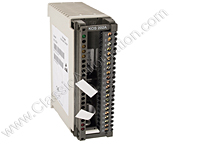 KOS 202A, Modicon PLC I/O Module